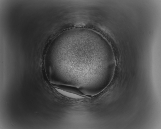 X0000088041445200705251252