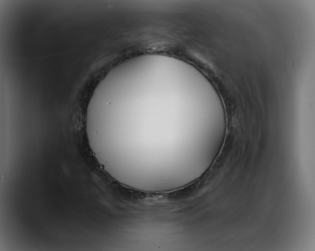 X0000088041447200705251252