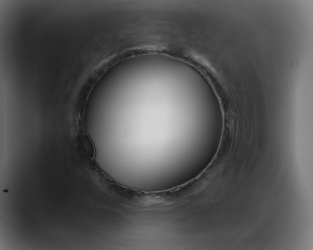 X0000088041448200705251252