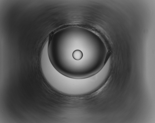 X0000088041449200705251252