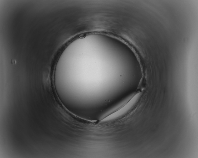 X0000088041452200705251252