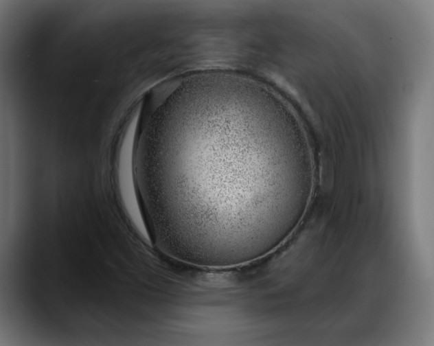 X0000088041453200705251252