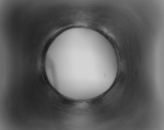 X0000088041454200705251252