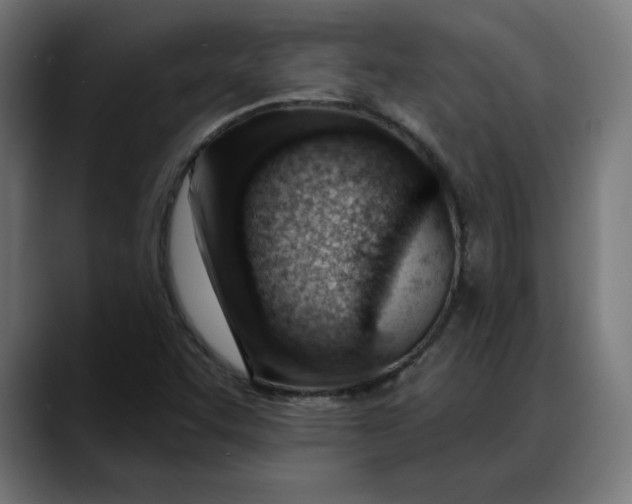 X0000088041455200705251252