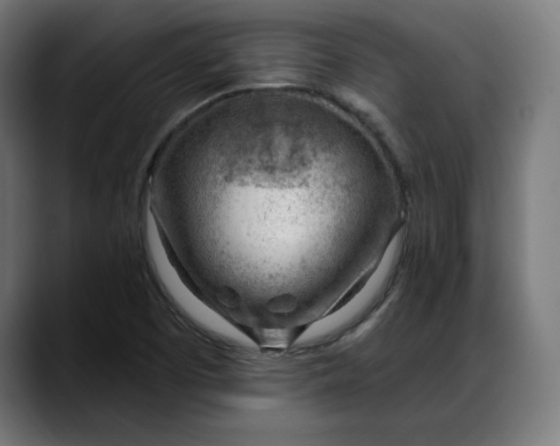 X0000088041457200705251252