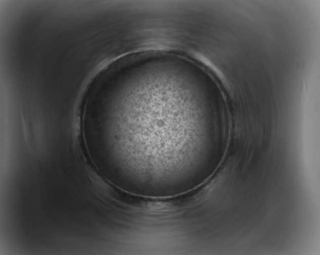 X0000088041459200705251252
