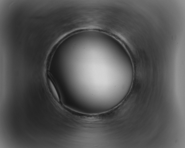 X0000088041460200705251252