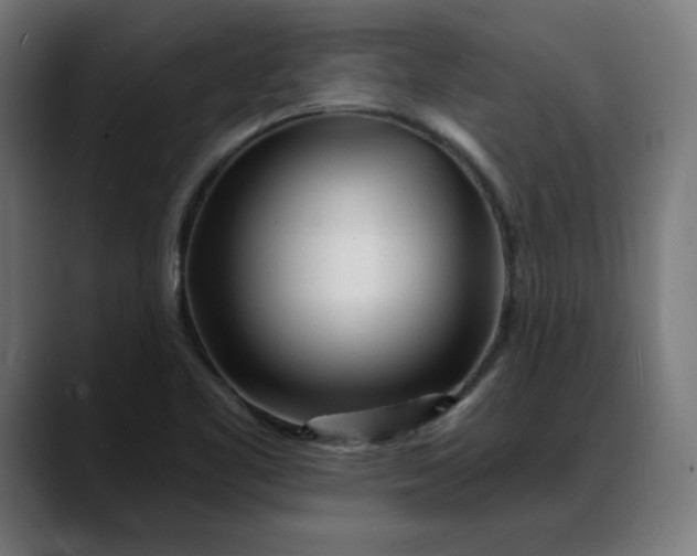 X0000088041461200705251252