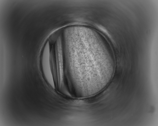 X0000088041463200705251252