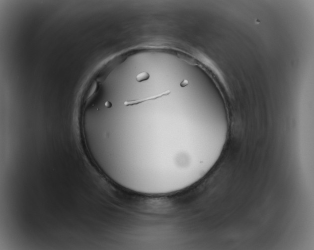 X0000088041464200705251252