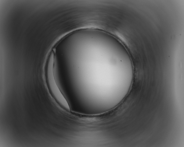 X0000088041468200705251252