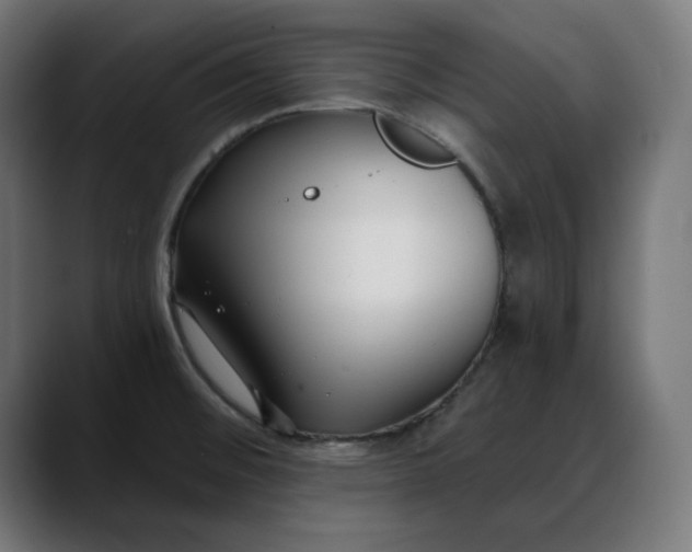 X0000088041476200705251252