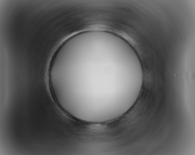X0000088041478200705251252