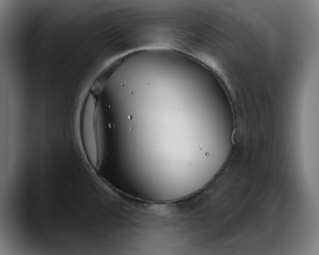 X0000088041480200705251252