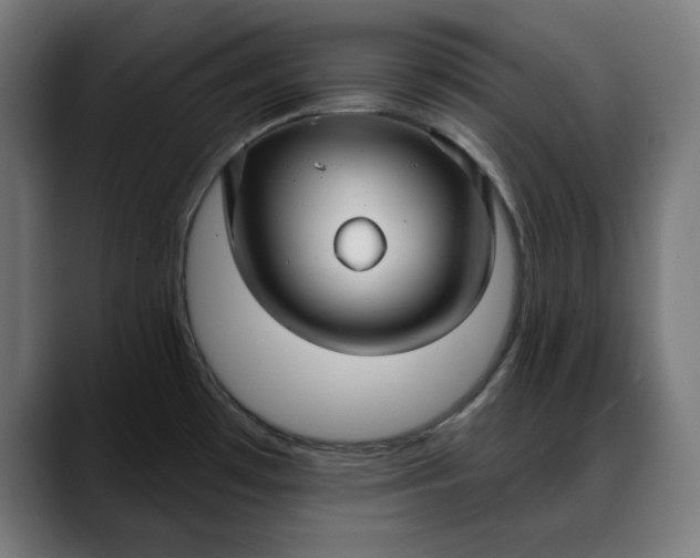 X0000088041481200705251251