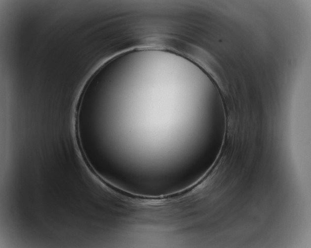 X0000088041484200705251251