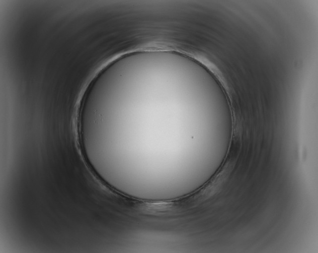 X0000088041486200705251251