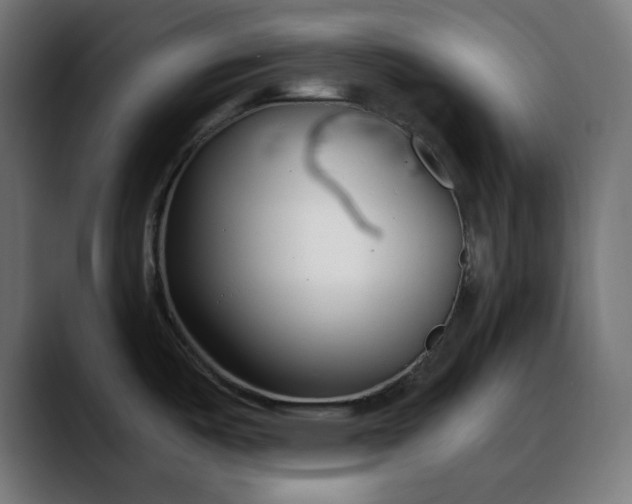 X0000088041487200705251251