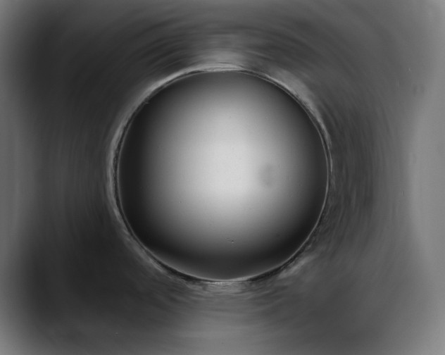 X0000088041488200705251251