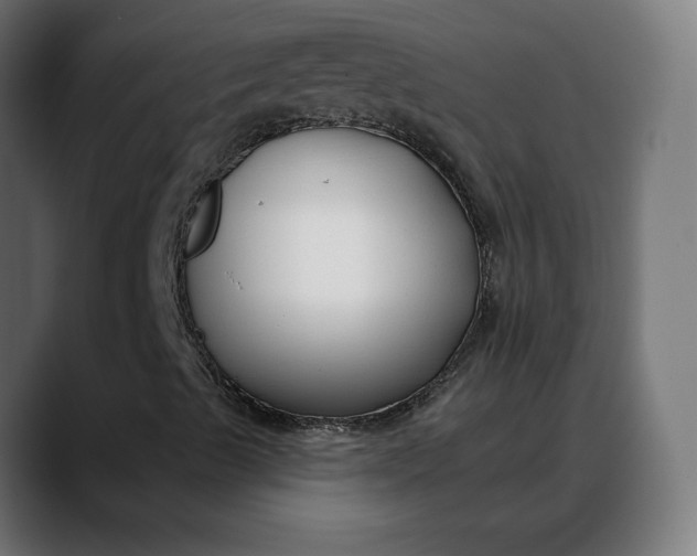 X0000088041489200705251251