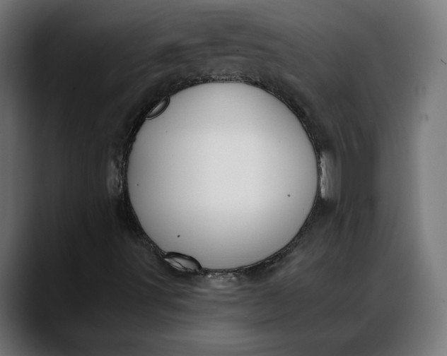 X0000088041491200705251251