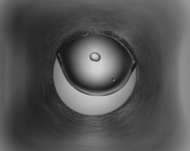 X0000088041492200705251251