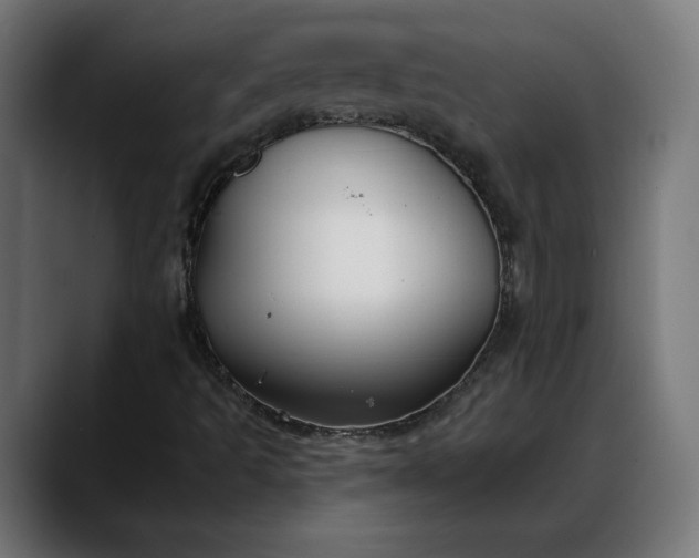 X0000088041493200705251251