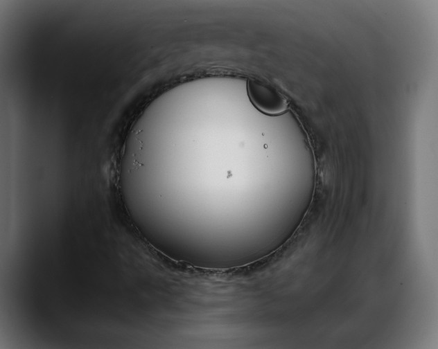 X0000088041495200705251251