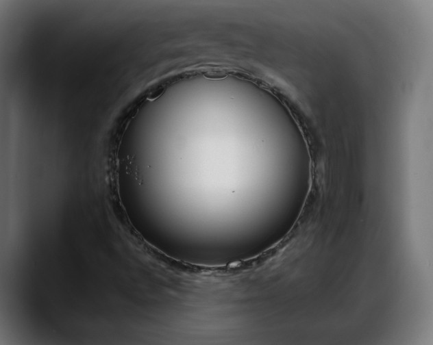 X0000088041496200705251251