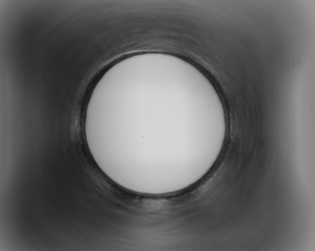 X0000088041498200705251251