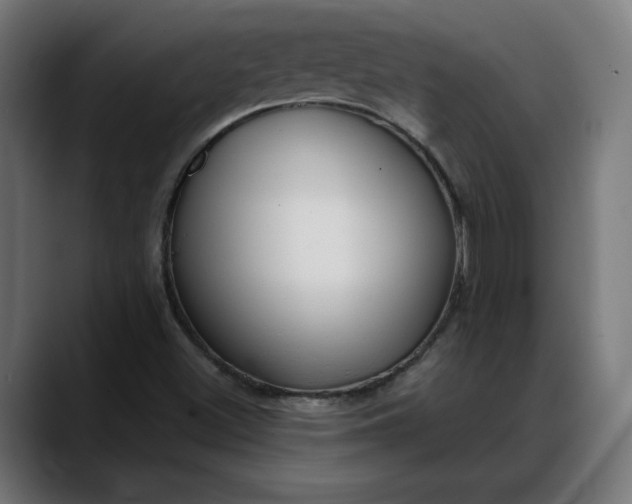 X0000088041500200705251251