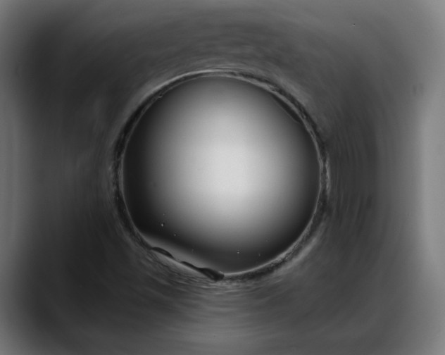 X0000088041501200705251251