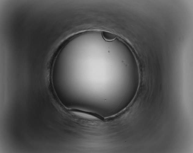 X0000088041503200705251251