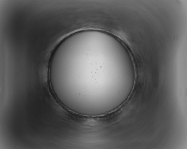 X0000088041504200705251251