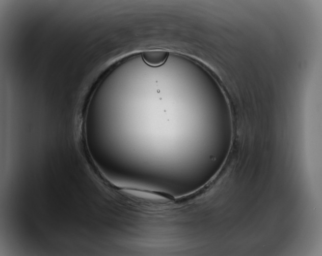 X0000088041507200705251251