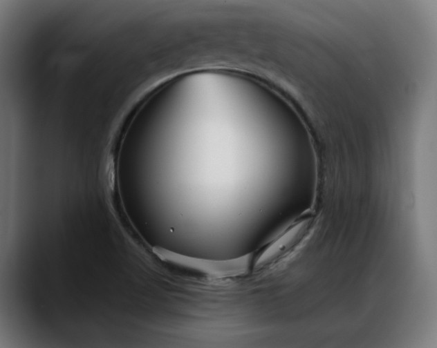 X0000088041509200705251251