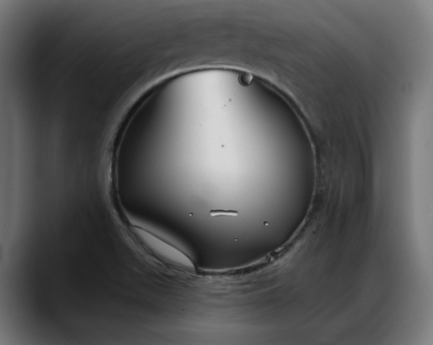 X0000088041511200705251251