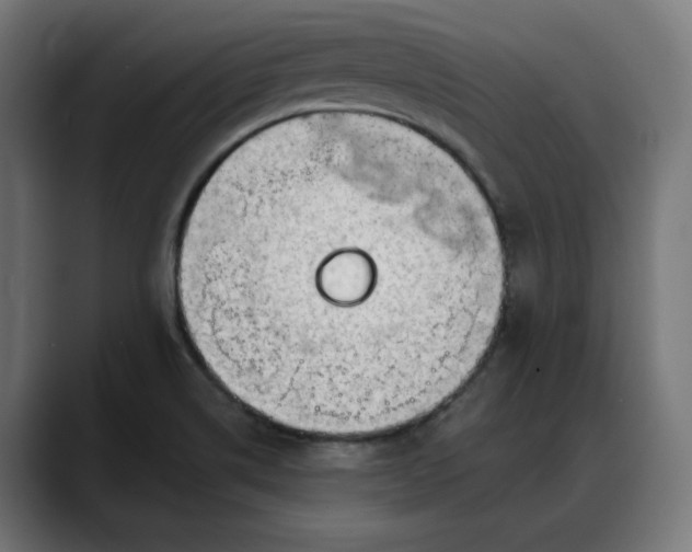 X0000088041514200705251251