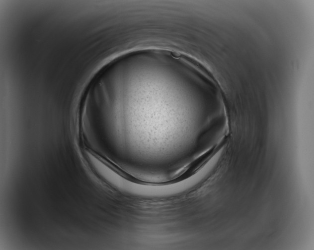 X0000088041515200705251251