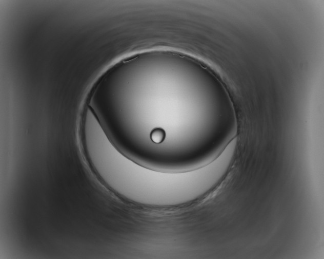 X0000088041518200705251251