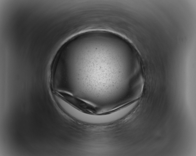 X0000088041519200705251251