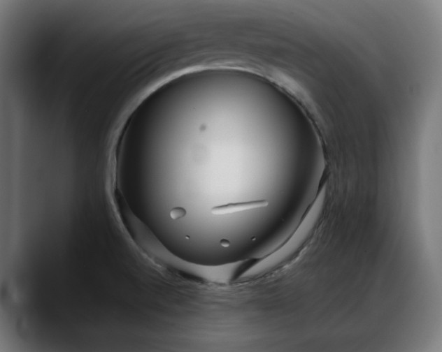 X0000088041520200705251251