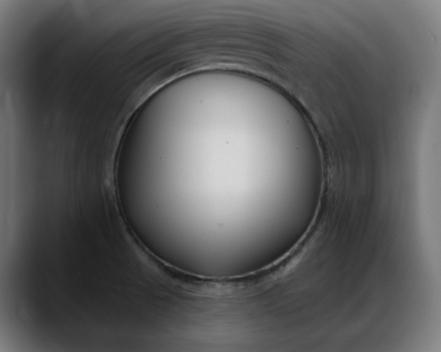 X0000088041521200705251251