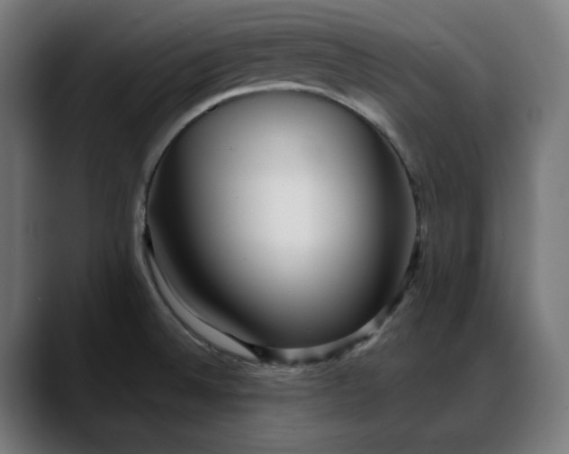 X0000088041524200705251251