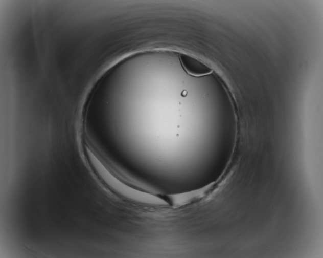 X0000088041525200705251251