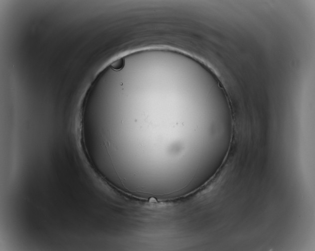 X0000088041526200705251251