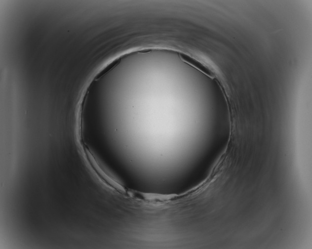 X0000088041528200705251251