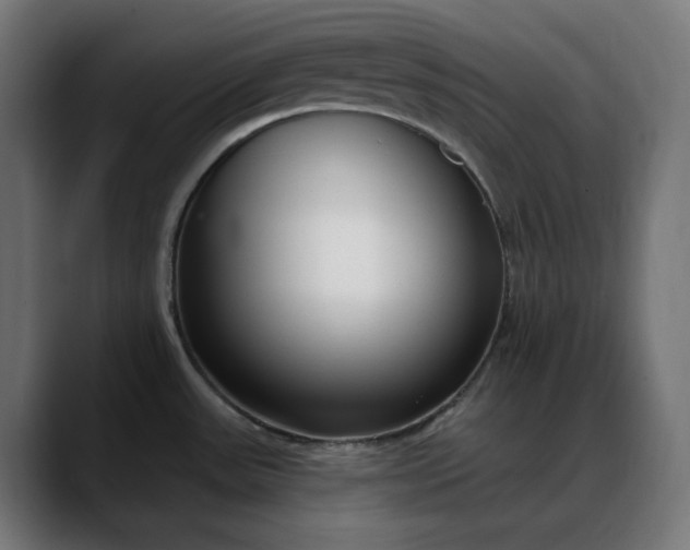 X0000088041531200705251251