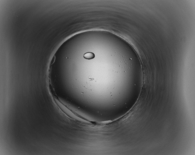 X0000088041532200705251251