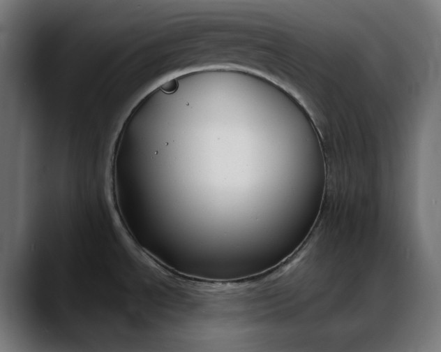 X0000088041534200705251251